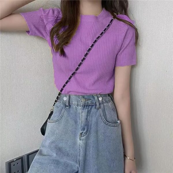 Lavender Slim Fit Plain Stretchable Round Neck Rib Knit Short Sleeve Regular Top for Women